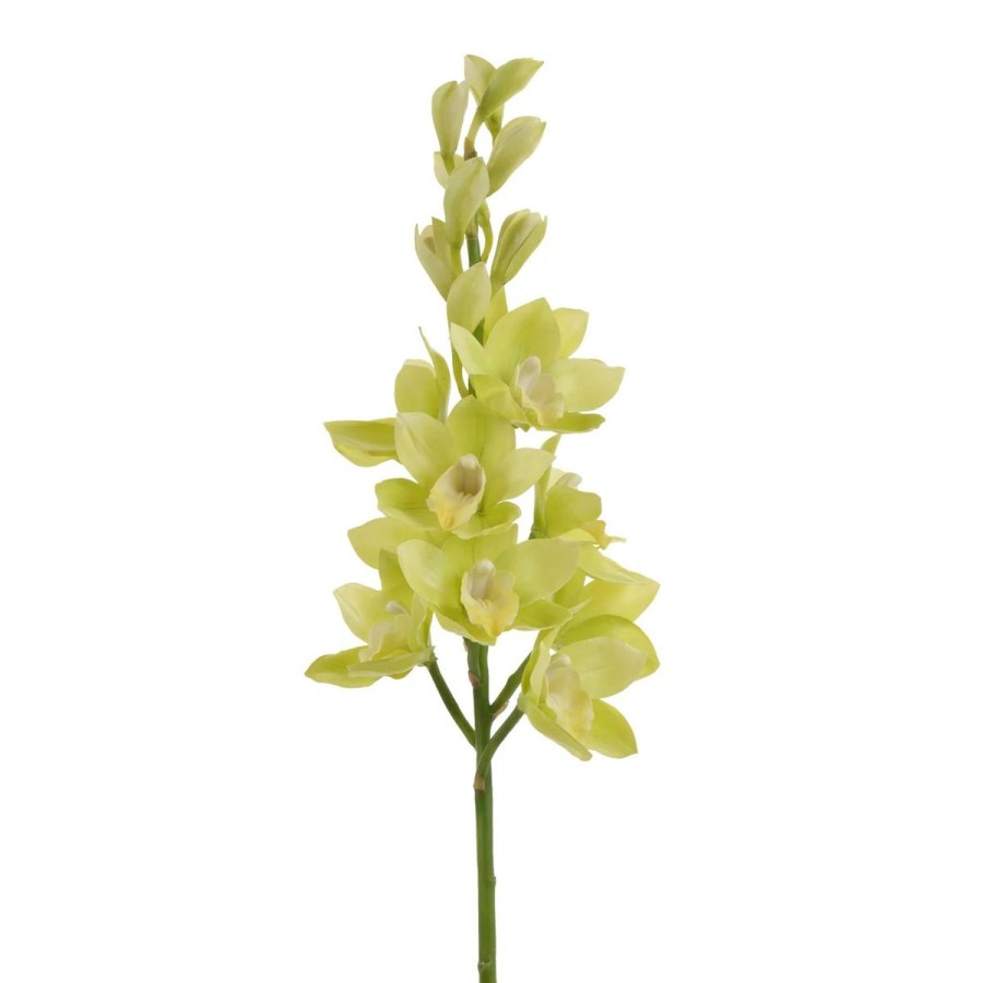 Winward International Winward 35" Cymbidium New