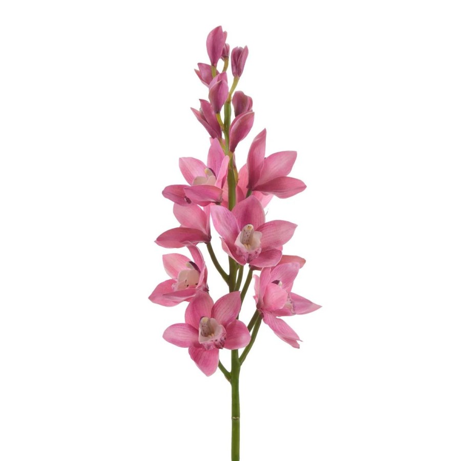 Winward International Winward 35" Cymbidium New