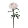 Winward International Winward 20.5" Peony Online