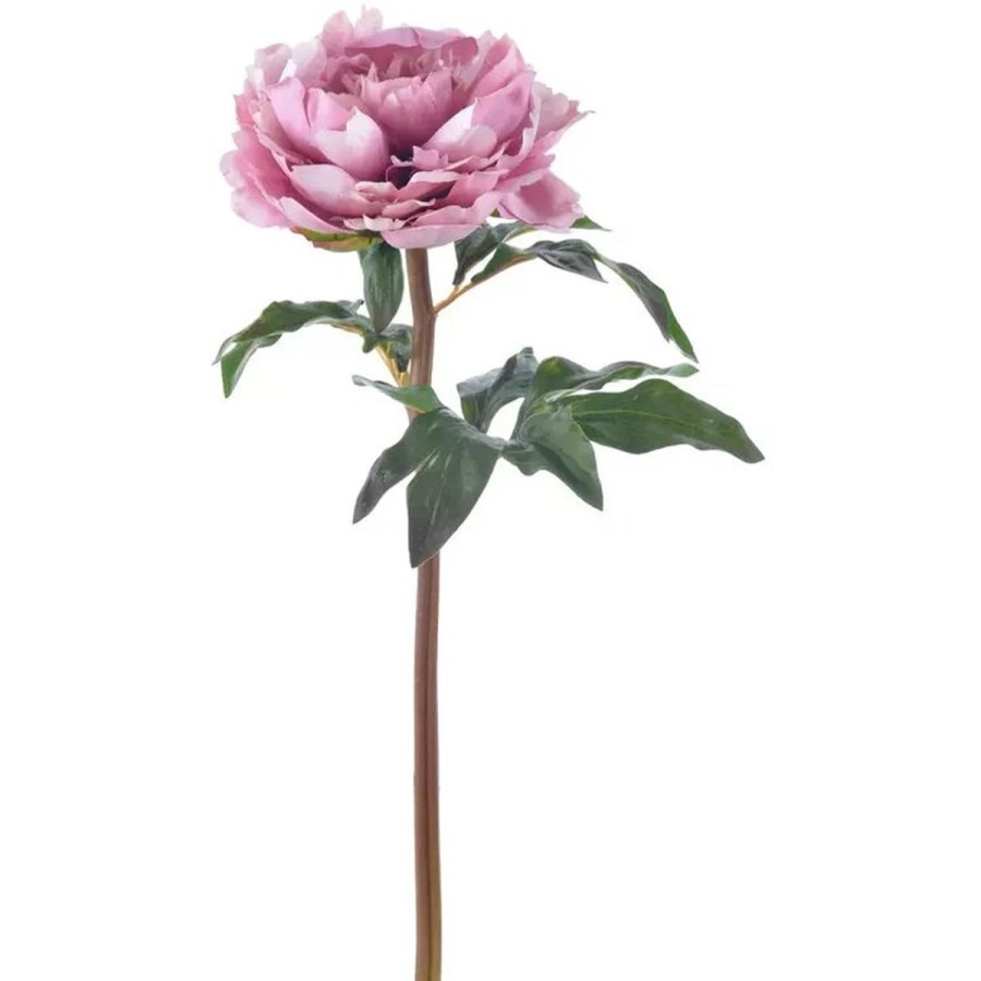 Winward International Winward 20.5" Peony Online