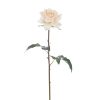 Winward International Winward 20" Rose Dutchess Open Short Stem Best