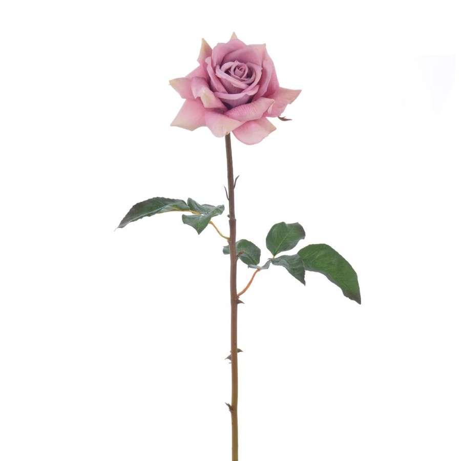 Winward International Winward 20" Rose Dutchess Open Short Stem Best