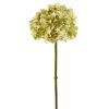 Winward International Winward 19" Hydrangea Without Leaf Clearance