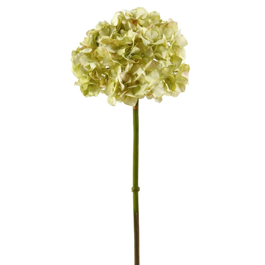 Winward International Winward 19" Hydrangea Without Leaf Clearance