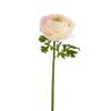 Winward International Winward 22" Ranunculus Best