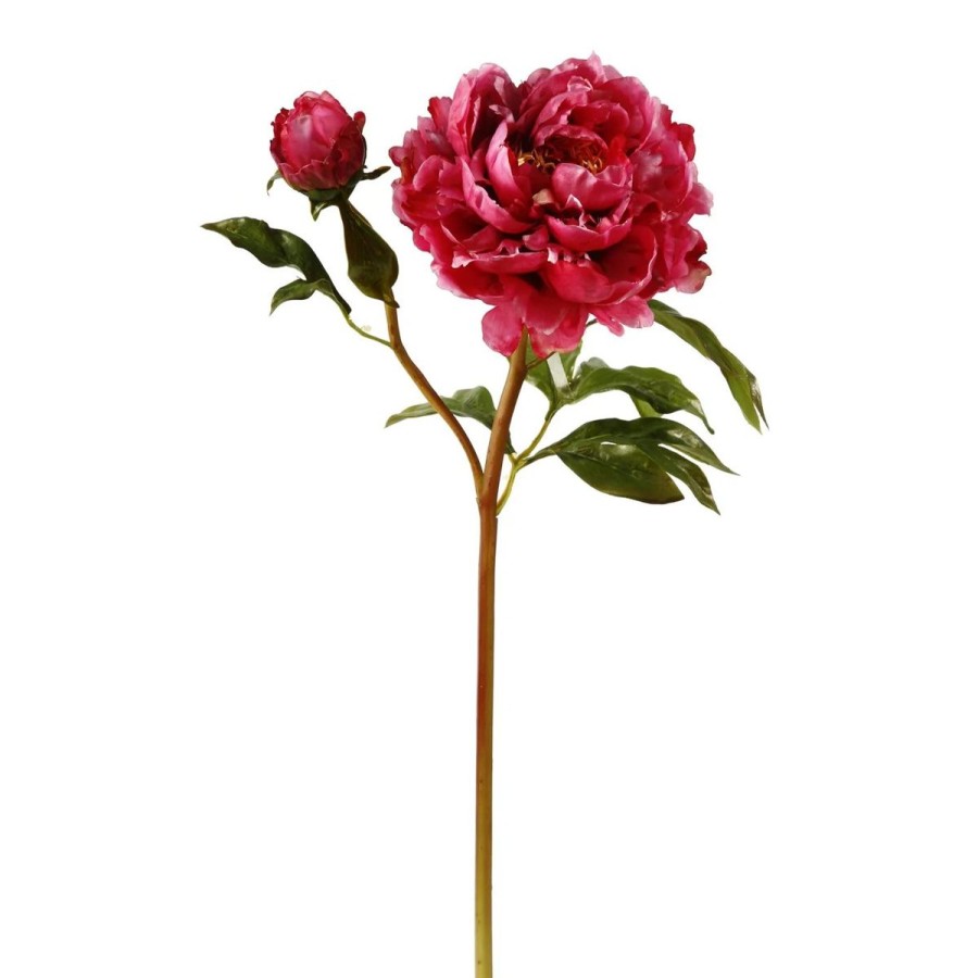 Winward International Winward 21.5" Peony Open Stem Wholesale