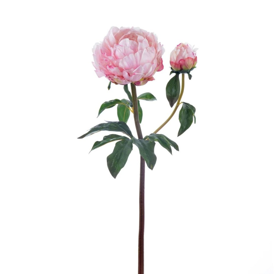 Winward International Winward 21.5" Peony Open Stem Wholesale