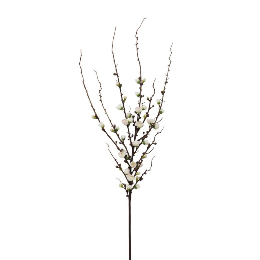 Winward International Winward Blossom Peach Stem Clearance