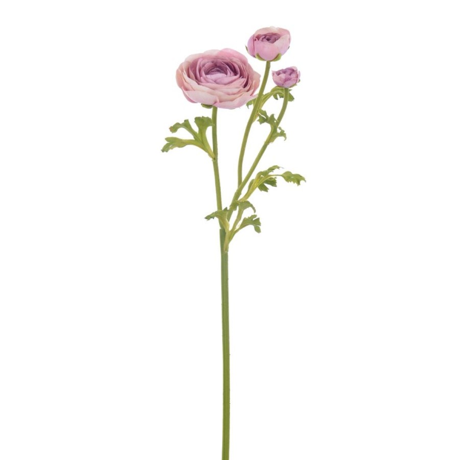 Winward International Winward Ranunculus 22.5" Stem Clearance