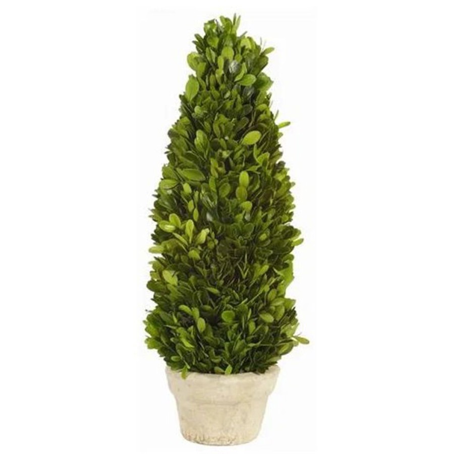 Winward International Winward Boxwood Cone Topiary In Pot Wholesale