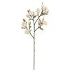 Winward International Winward Champagne Magnolia Tree Branch Best