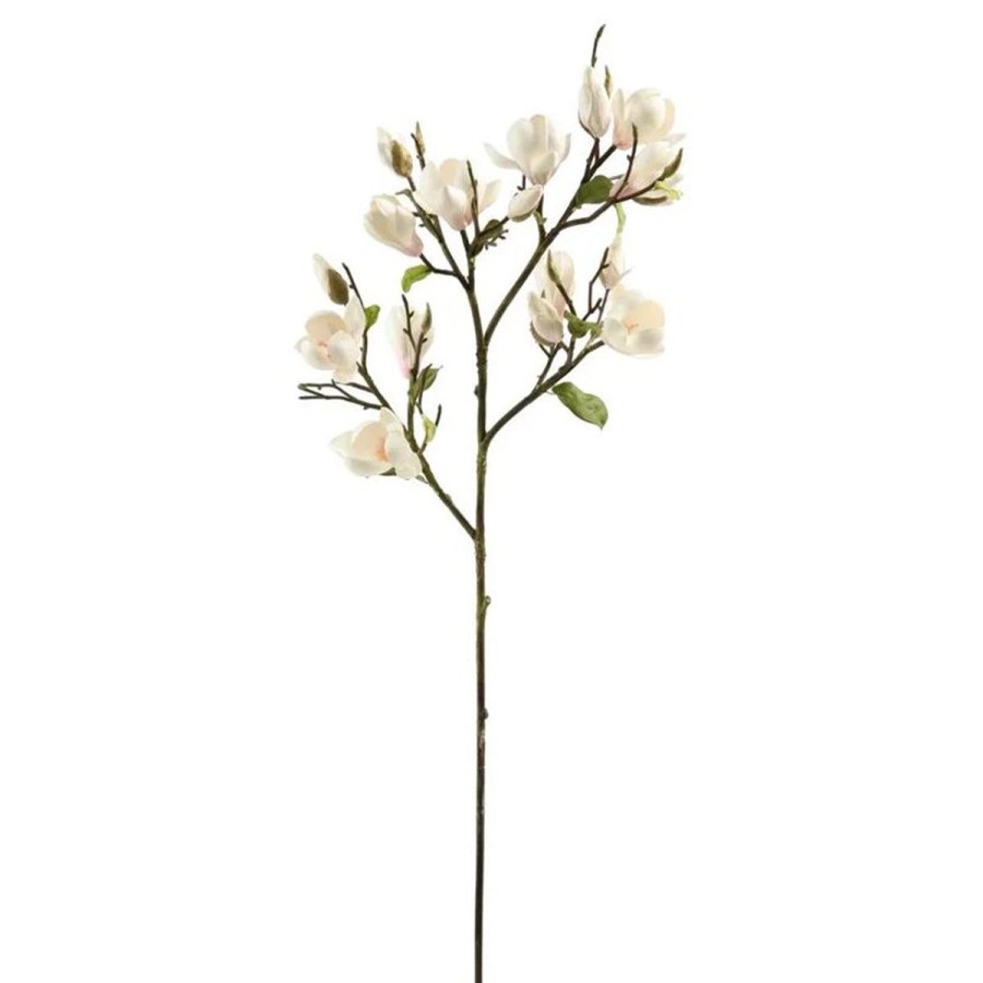 Winward International Winward Champagne Magnolia Tree Branch Best