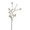 Winward International Winward Natural Magnolia Tree Bud Branch Best