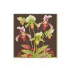 Caspari Caspari Slipper Orchid Cocktail Napkin Clearance