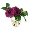 Diane James Diane James Purple Ranunculus & Camellia Leaves In Bud Vase Best