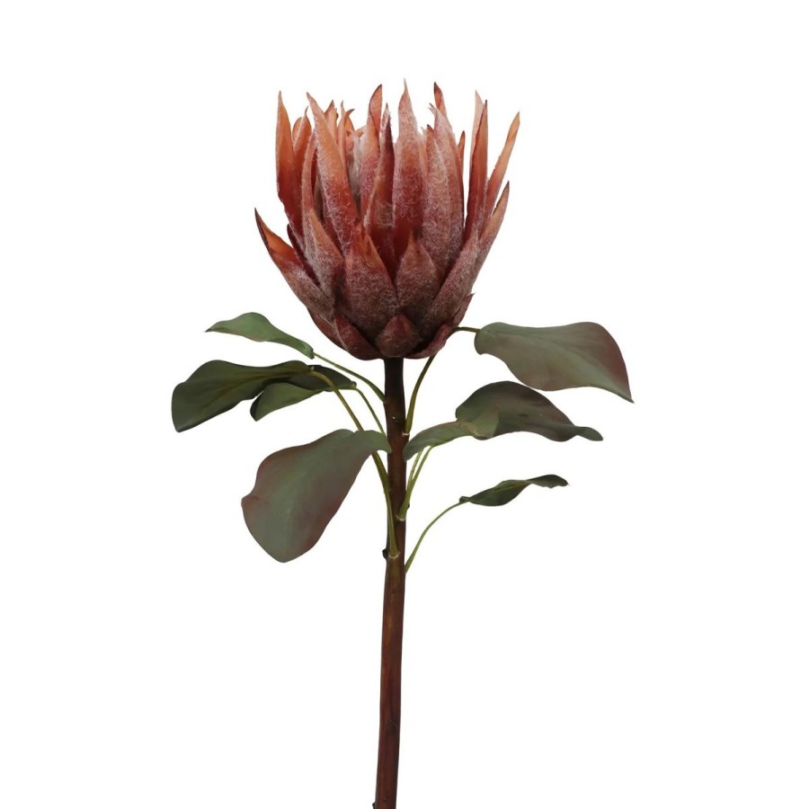 Winward International Winward Mauve Brown King Protea Stem Online