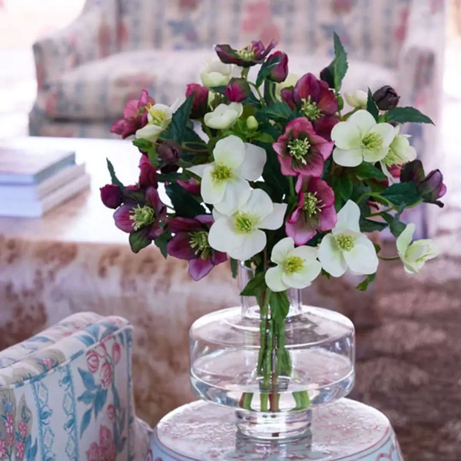 Diane James Diane James Mixed Helleborus Bouquet Online