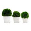 Gracious Home K&K Interiors Boxwood Balls In Whitewash Pots (Set Of 3) Wholesale