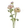 Winward International Winward 18.5" Open Ranunculus New