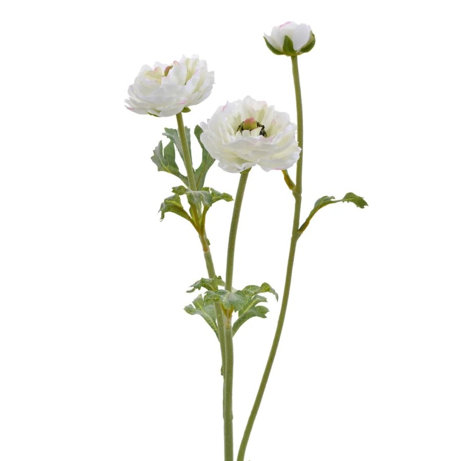 Winward International Winward 18.5" Open Ranunculus New