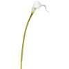 Winward International Winward 20.5" Calla Lily Clearance