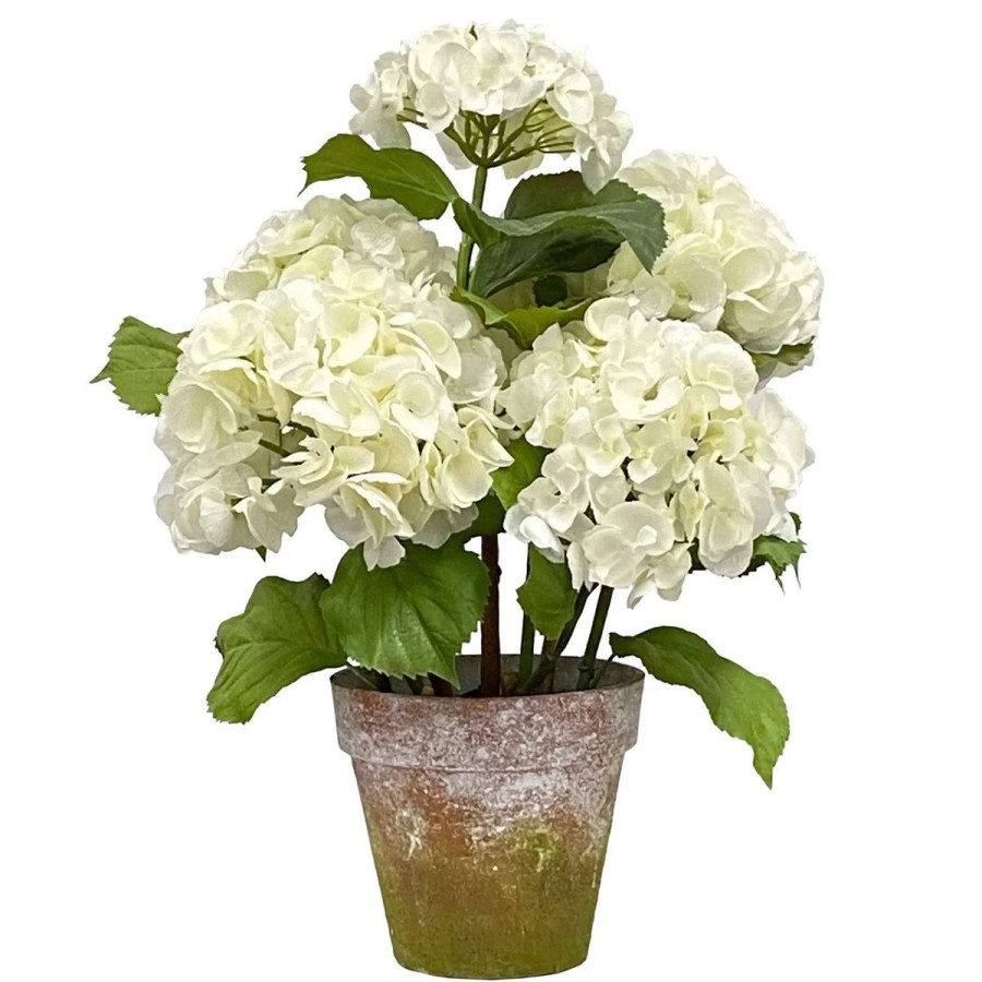 Winward International Winward 22" Potted Hydrangea Wholesale