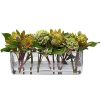 Winward International Winward 20" Waratah Ball Celosia In Glass Clearance