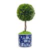 Winward International Winward Boxwood Ball Topiary In Round Vase Wholesale