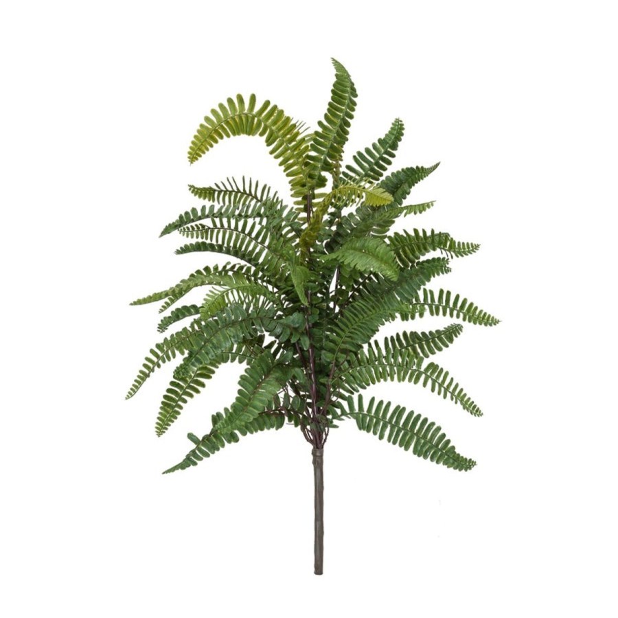 Winward International Winward Sword Fern Bush Best