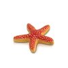 Nora Fleming Nora Fleming "Sea Star" Starfish Mini Wholesale